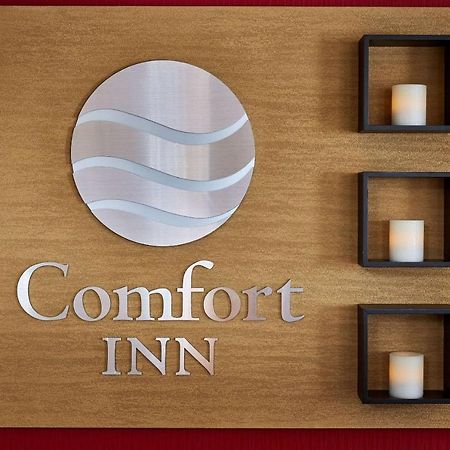 Comfort Inn Rouyn Kültér fotó